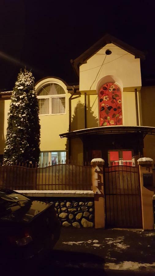 Vila Alfa Dumbrava Сибиу Экстерьер фото
