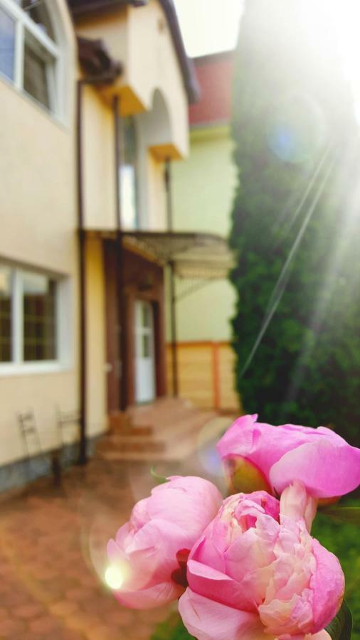 Vila Alfa Dumbrava Сибиу Экстерьер фото